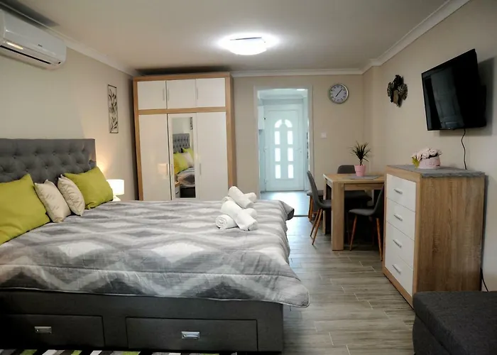 Judit Apartman Dombovar-Gunaras